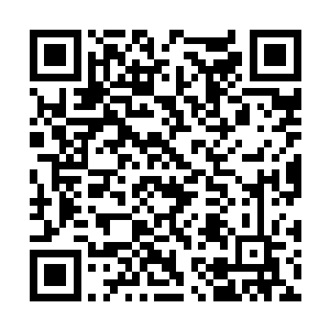 感受到周围那恐怖的如同实质一般的天地元气之后二维码生成