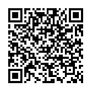 感受到地动的时候一把就将云二从窗户里抡了出去二维码生成