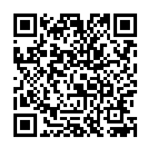 感受着他们兄弟之间那种久别重逢后的激动和强烈的情感二维码生成