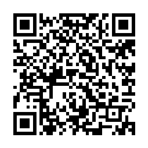 感受着自己热血喷溅到自己脸上……这种绝望让他整个人都垮了二维码生成