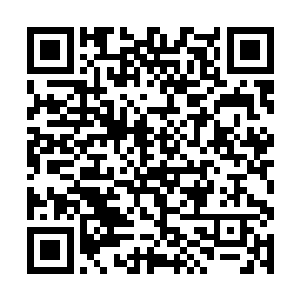 感应到它是被大神血液中蕴含的巨大能量吸引而出的二维码生成