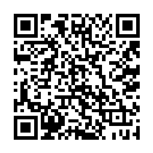 感情这家伙在御园呆了些年尽在琢磨上上下下的关系二维码生成