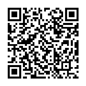 感情这里头最大的老板就是派出所所长的二舅老爷二维码生成