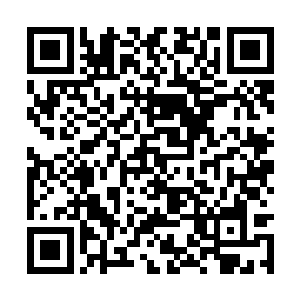 感情面前出口就是脏话的老头就是对方走散的师傅二维码生成