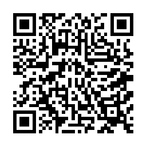 感觉到流墨墨猛然扑过来的身影和在自己身上迅速摸索的小手二维码生成