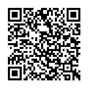 感觉就像是一个完成了某种变异进化的巨型乌贼二维码生成