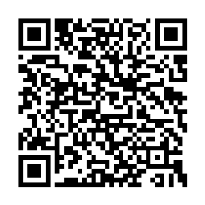 感觉就算粉身碎骨也报答不了夏云杰的恩情一二二维码生成