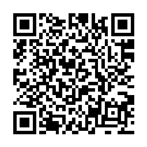感觉我们所学的武术在电视上面被人家打的稀里哗啦二维码生成