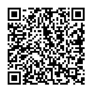 感觉每次要触及真相的时候总是无法拨开那最后一层面纱确认自己的猜测二维码生成