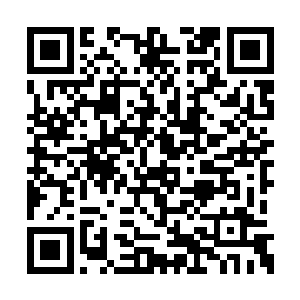 感觉比四海龙王的香榭丽舍庄园还要大上好几倍二维码生成