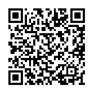 感觉现在的刘飞和以前那个刘飞似乎不太一样了二维码生成
