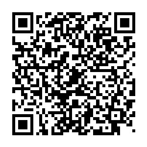 感觉自己就像戴着一个黄金和白金缠绕起来的精美的蛇形手镯一样二维码生成