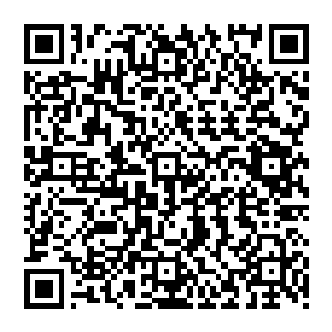 感觉自己的觉悟和水平被苏桃拉到了一个新低――自己居然和一个小姑娘撕撕扯扯的动起了手二维码生成