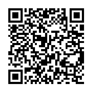 感谢冷夏和威公子两位兄弟每天的给力打赏支持二维码生成