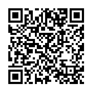 感谢打赏的兄弟~甲鱼的打赏在作者当中倍有面呢~二维码生成