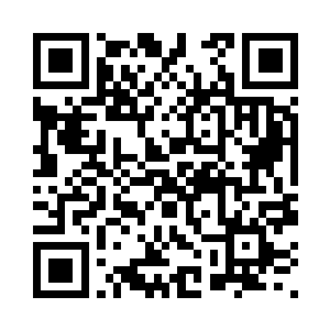 感谢zhuxyhh01和岁月在指尖流逝的pd票二维码生成