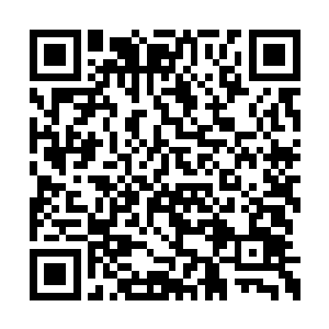 愿意以怎样的代价来交换为师这一次出手的机会二维码生成