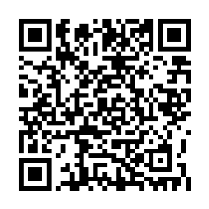 慕仙派上下六百名弟子全部都是汇聚在了场地上二维码生成