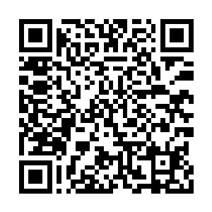 慕初夏拿着陆景乔前几天给她的工资卡大刷特刷二维码生成