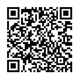 慕容仙儿看了看林新脸上那道伤疤颜色已经淡了不少二维码生成