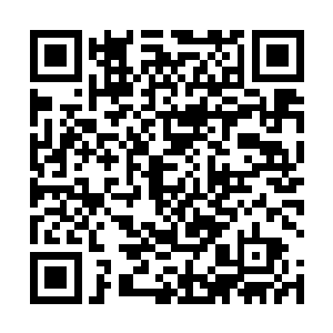 慕容大少也想知道楚三今天专门将苏落带过来所谓何事二维码生成