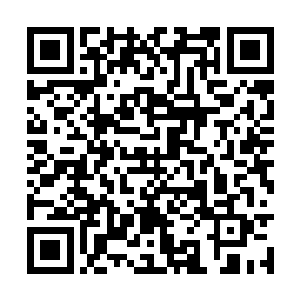 慕容子夜需要掌握这个实验者任何方面的情况变化二维码生成