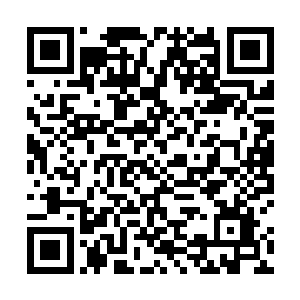 慕容昊和龙逸辰同时看了看那一群还留在游轮之上的人二维码生成