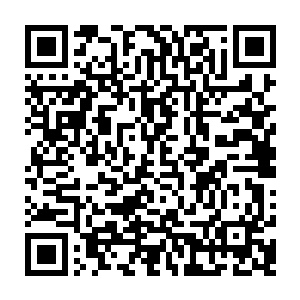 慕容玥带着几分娇嗔地催促着他去将自己的四个孩子抱进来给自己细细看一番二维码生成