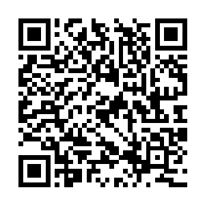 慢慢前排副驾驶座位上就丢了一个又一个的塑料行二维码生成