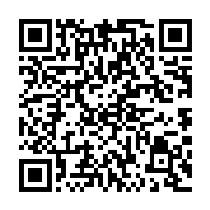 慢慢的静尘脸色沉沉的朝帷布后面那个大福尔马林池子走去二维码生成