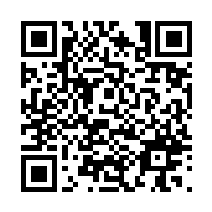 懒得去理会那些三三两两通过的民夫二维码生成