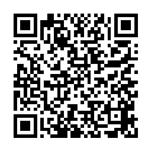 戈谢病的药物是用重组dna的中国仓鼠的卵巢细胞二维码生成