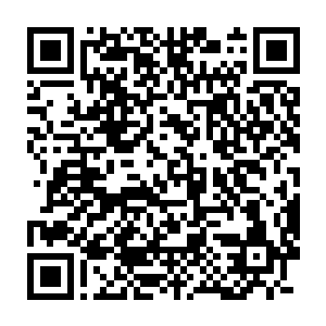 成为了第六十六届奥斯卡结束之后演技部门奖项之中风头最劲之人二维码生成