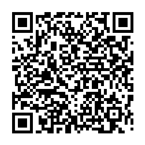 成为整个世界都在关注的顶级巨星据说她乘坐的飞机抵达东京成田机场时二维码生成