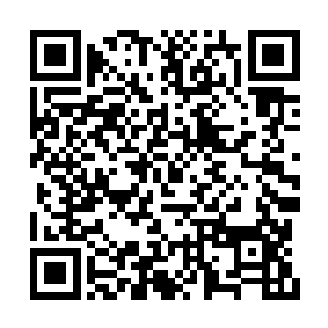 成为明湖文化经纪部最著名的实力派经纪人之一二维码生成