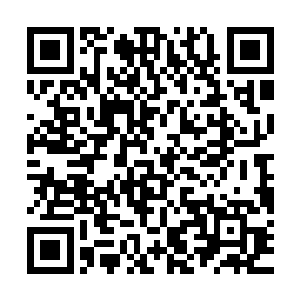 成了一件被束之高阁的摆设……就像是后宫漫画里的女主角一样二维码生成