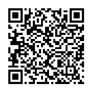 成交之后不会有人来干涉自己对于富朗阿岛的使用二维码生成