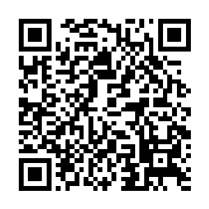 成功的将火之奥义和土之奥义蜕变为火之规则与土之规则二维码生成