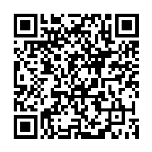 成国公对陆凌风突然的严厉让昭华郡主很心疼受苦的儿子二维码生成
