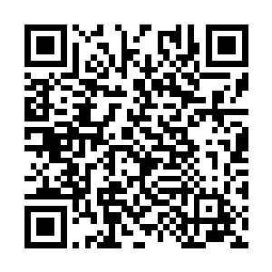 成长必然会以失去一些美妙而无形的东西作为代价二维码生成