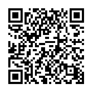 我一个护着一大堆动都不能动的伤员估计也就完了二维码生成