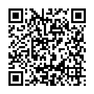 我一会会将卧龙醉还有这茅台新酒分别倒在两个杯子里二维码生成