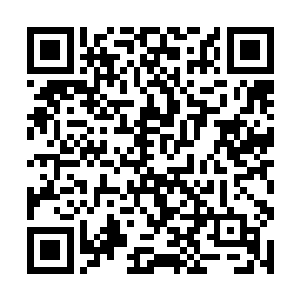 我一定会按照市委市政fǔ的安排将海阳县的工作做好二维码生成