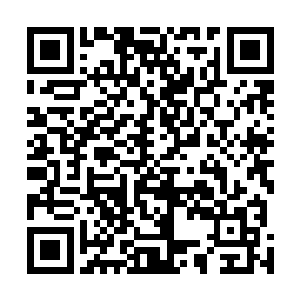 我一扭过头便能看到陈八两的脸上显出的满是凝重和震惊二维码生成