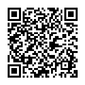 我一点都没有不好意思的将他手里的一叠钱给接了过来塞背包里二维码生成