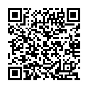 我一直在祈祷外头那些李南的孙子们还没有走远二维码生成