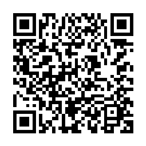 我一路趟过了那水沲到了柳树根部都没见那些柳条有半点反应二维码生成