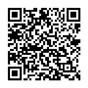 我一边下定决心不再给这死猫讲那些乱七八糟的二维码生成