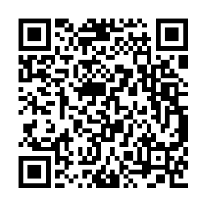 我一边收起手机一边回头往剧场的方向看了一眼二维码生成