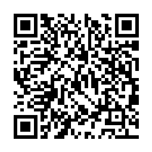 我不会不管不顾带着一家老小跟在春弟的身后周转二维码生成